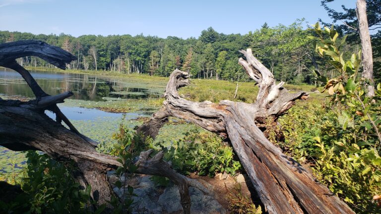 Rocky Hill Audubon Sanctuary