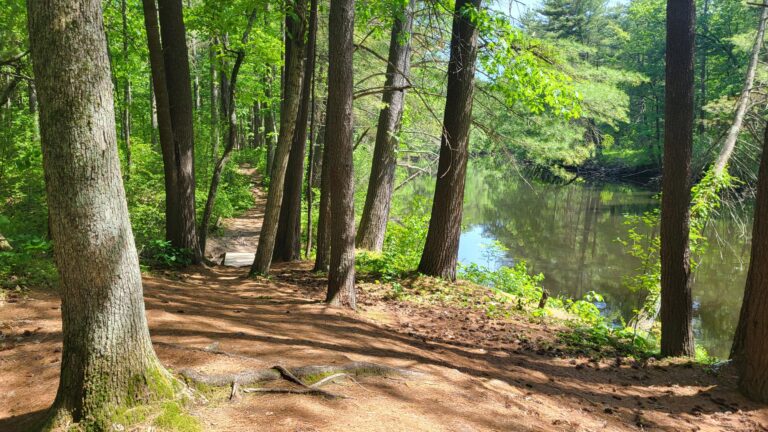 Taisey Conservation Area