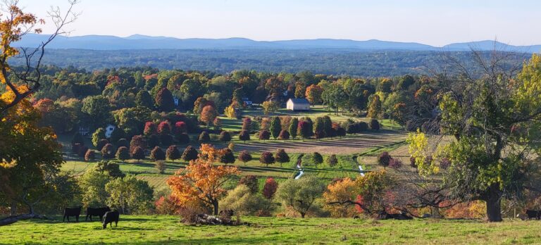 Gibbet Hill/Bancroft Castle