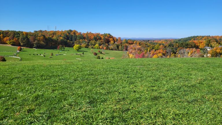 Scarlet Hill