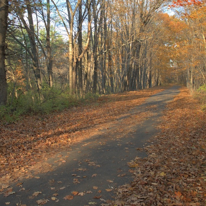 Nashua River Rail Trail