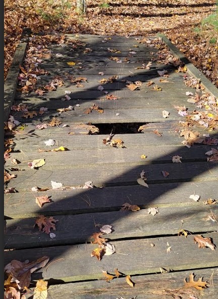 Spot It, Report It, Keep Groton’s Trails in Good Shape