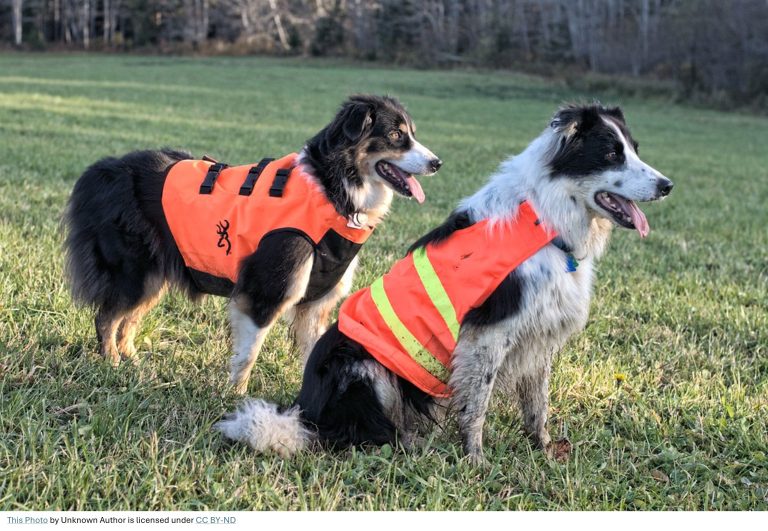 Massachusetts 2026 Hunting Season — Safety Notice for Hikers
